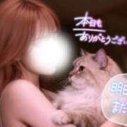 ヒメ日記 2026/02/11 23:41 投稿 みさき 甲府人妻城