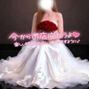 ヒメ日記 2026/03/17 14:45 投稿 みさき 甲府人妻城