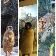 ヒメ日記 2025/11/15 21:29 投稿 小清水 あや 人妻セレブ宮殿