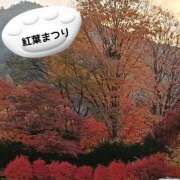 ヒメ日記 2025/11/16 15:40 投稿 小清水 あや 人妻セレブ宮殿