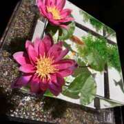 ヒメ日記 2025/11/17 20:15 投稿 りこ 横浜ミセスアロマ（ユメオト）