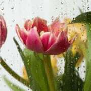 ヒメ日記 2025/11/25 11:26 投稿 ななこ奥様 人妻倶楽部　日本橋店