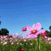 ななこ奥様 出勤してます 人妻倶楽部　日本橋店