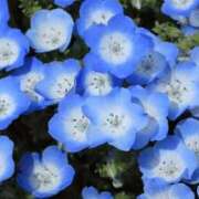 ヒメ日記 2025/12/16 13:16 投稿 ななこ奥様 人妻倶楽部　日本橋店