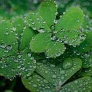 ヒメ日記 2025/12/21 09:56 投稿 ななこ奥様 人妻倶楽部　日本橋店