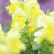 ヒメ日記 2026/01/13 13:36 投稿 ななこ奥様 人妻倶楽部　日本橋店