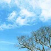 ななこ奥様 こんにちは✨ 人妻倶楽部　日本橋店