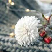 ヒメ日記 2026/01/29 13:16 投稿 ななこ奥様 人妻倶楽部　日本橋店