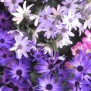 ヒメ日記 2026/02/02 11:36 投稿 ななこ奥様 人妻倶楽部　日本橋店