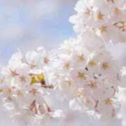 ヒメ日記 2026/03/26 10:16 投稿 ななこ奥様 人妻倶楽部　日本橋店