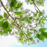 ななこ奥様 おはようございます 人妻倶楽部　日本橋店