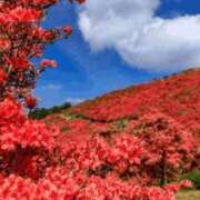 ヒメ日記 2026/04/24 09:56 投稿 ななこ奥様 人妻倶楽部　日本橋店