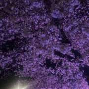 ヒメ日記 2026/04/03 13:04 投稿 まな☆10/10初登校 JKサークル