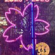 ヒメ日記 2026/01/01 02:33 投稿 まなみ 池袋人妻城