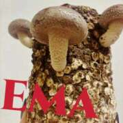 ヒメ日記 2025/10/31 00:29 投稿 EMA TALL