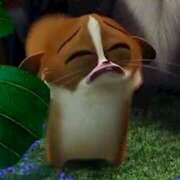 ヒメ日記 2025/11/03 17:40 投稿 まあや 神田ハンドメイド