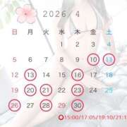 ヒメ日記 2026/03/31 13:53 投稿 Erika PROPORTION