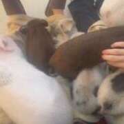 ヒメ日記 2025/10/22 19:43 投稿 こはね Club S