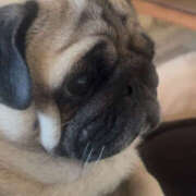 こはね 溺愛߹𖥦߹♡♡ Club S