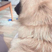 ヒメ日記 2026/01/29 19:07 投稿 こはね Club S