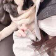 こはね おはにょーん Club S