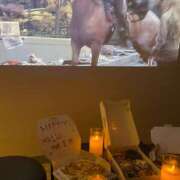 ヒメ日記 2025/11/03 14:42 投稿 まあや 上野ハンドメイド