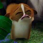 ヒメ日記 2025/11/03 17:35 投稿 まあや 上野ハンドメイド