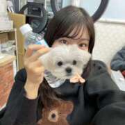 ヒメ日記 2025/12/11 22:20 投稿 まあや 上野ハンドメイド