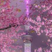 ヒメ日記 2025/10/13 20:27 投稿 ちさ 小田原人妻城