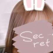 ヒメ日記 2025/11/04 18:02 投稿 うらん マーガレット