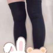 ヒメ日記 2025/11/12 13:51 投稿 うらん マーガレット