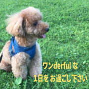 ヒメ日記 2026/07/25 06:55 投稿 ゆづき 奥鉄オクテツ兵庫