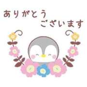 ヒメ日記 2025/11/06 19:06 投稿 けいこ 熟女総本店 日本橋ミナミエリア店