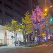 ヒメ日記 2025/12/02 05:46 投稿 けいこ 熟女総本店 日本橋ミナミエリア店