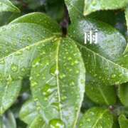 ヒメ日記 2025/10/20 15:59 投稿 ちか 素人妻達☆マイふぇらレディー