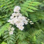 ヒメ日記 2025/10/30 19:40 投稿 ちか 素人妻達☆マイふぇらレディー