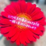 ヒメ日記 2025/11/03 15:29 投稿 ちか 素人妻達☆マイふぇらレディー
