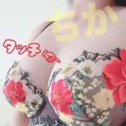 ヒメ日記 2025/11/12 11:56 投稿 ちか 素人妻達☆マイふぇらレディー