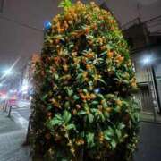 ひまわり 会いたかった🥹💛 E+アイドルスクール池袋店