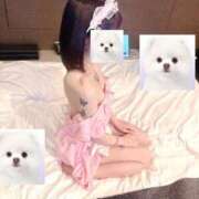 ヒメ日記 2026/02/20 23:21 投稿 りいふ☆異次元な舌技 じゃむじゃむ