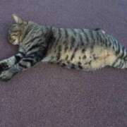 ヒメ日記 2025/10/16 19:49 投稿 るり 沼津人妻花壇