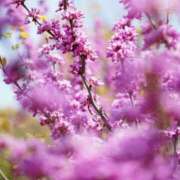 ヒメ日記 2025/10/11 19:44 投稿 長門侑希 五十路マダム 郡山店