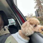 ヒメ日記 2026/01/22 00:36 投稿 ゆうこ ハピネス東京 吉原店