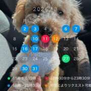 ヒメ日記 2026/02/25 14:56 投稿 ゆうこ ハピネス東京 吉原店