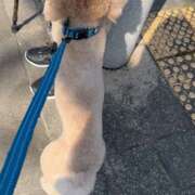 ヒメ日記 2026/03/10 00:07 投稿 ゆうこ ハピネス東京 吉原店