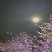 ヒメ日記 2026/03/30 00:06 投稿 ゆうこ ハピネス東京 吉原店