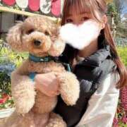 ヒメ日記 2026/04/02 17:46 投稿 ゆうこ ハピネス東京 吉原店