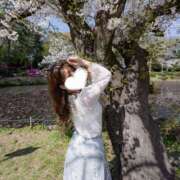 ヒメ日記 2026/04/04 13:36 投稿 ゆうこ ハピネス東京 吉原店