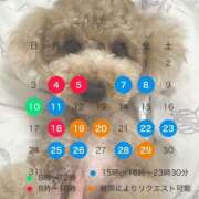 ヒメ日記 2026/05/06 00:46 投稿 ゆうこ ハピネス東京 吉原店