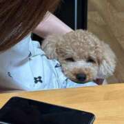 ヒメ日記 2026/06/15 23:56 投稿 ゆうこ ハピネス東京 吉原店